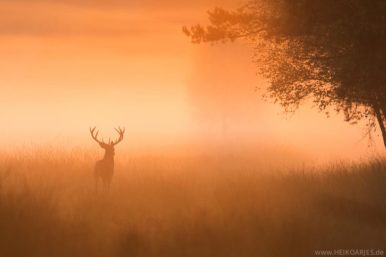 Arjes, Heiko_20160923-HA4_9132-Bearbeitet